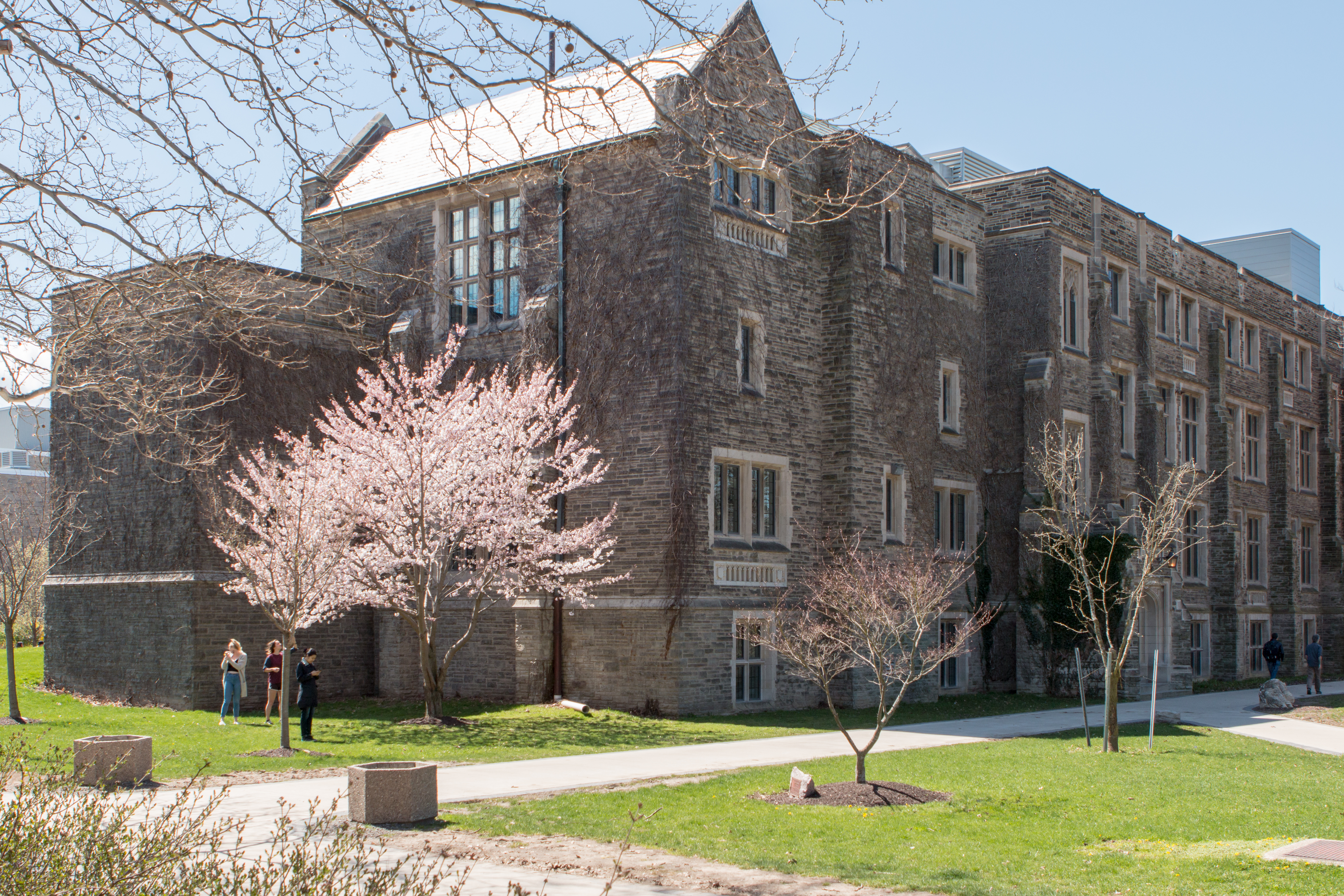 A photo of McMaster in the springtime.