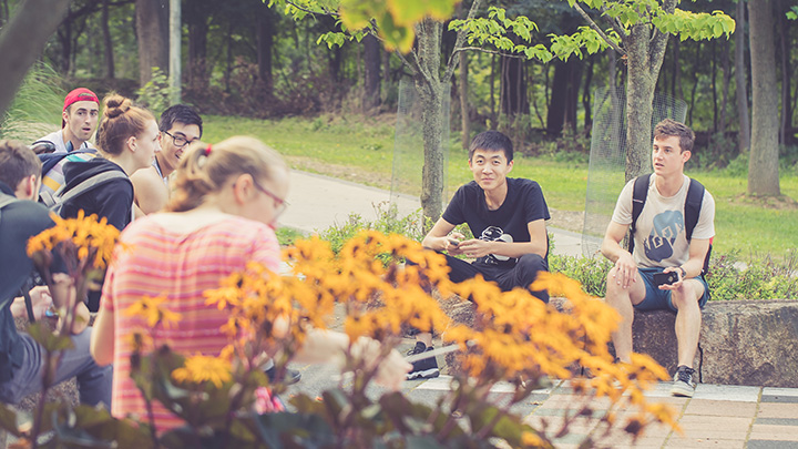 IMage of yellow flowers with Students in the background.