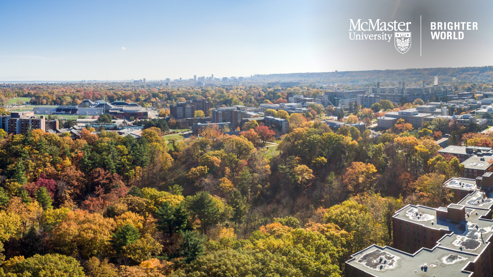 McMaster Campus Fall Aerial Zoom Background