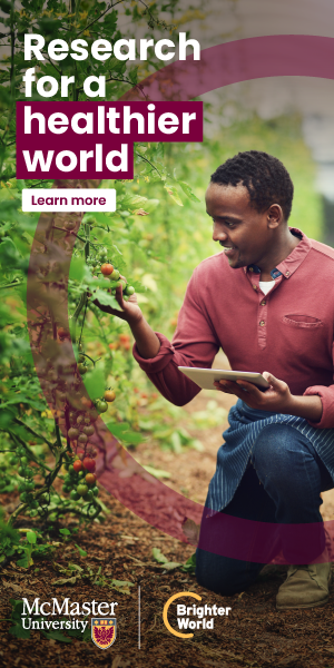 An example of a Brighter World ad. A middle-aged man crouches down looking at a tomato plant. He holds fresh, small tomatoes in his hand. A transparent maroon circle highlights him. To his left, the words "Research for a healthier world" and "learn more" are present. The McMaster and Brighter World logos are beneath the text.