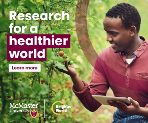 An example of a Brighter World ad. A middle-aged man crouches down looking at a tomato plant. He holds fresh, small tomatoes in his hand. A transparent maroon circle highlights him. To his left, the words "Research for a healthier world" and "learn more" are present. The McMaster and Brighter World logos are beneath the text.