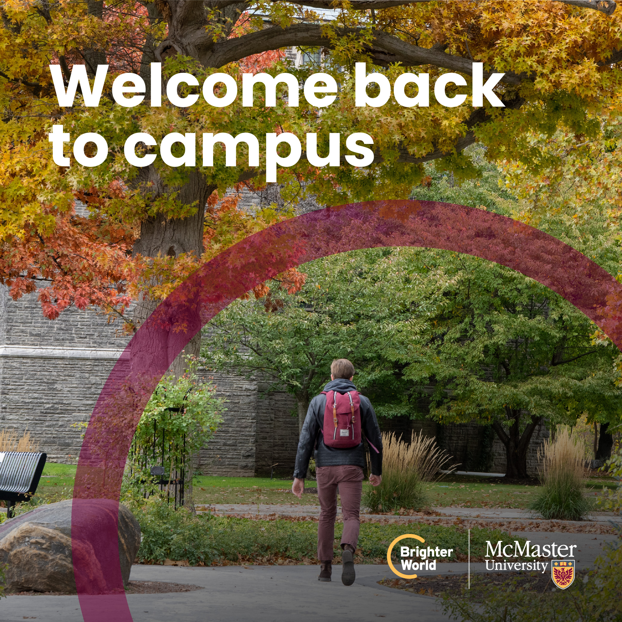 A graphic showing the correct use of the circle element. A student walks through campus at fall. A transparent maroon circle is placed around him. The text reads "Welcome back to campus." The McMaster and Brighter World logos are placed in the bottom right hand corner. 