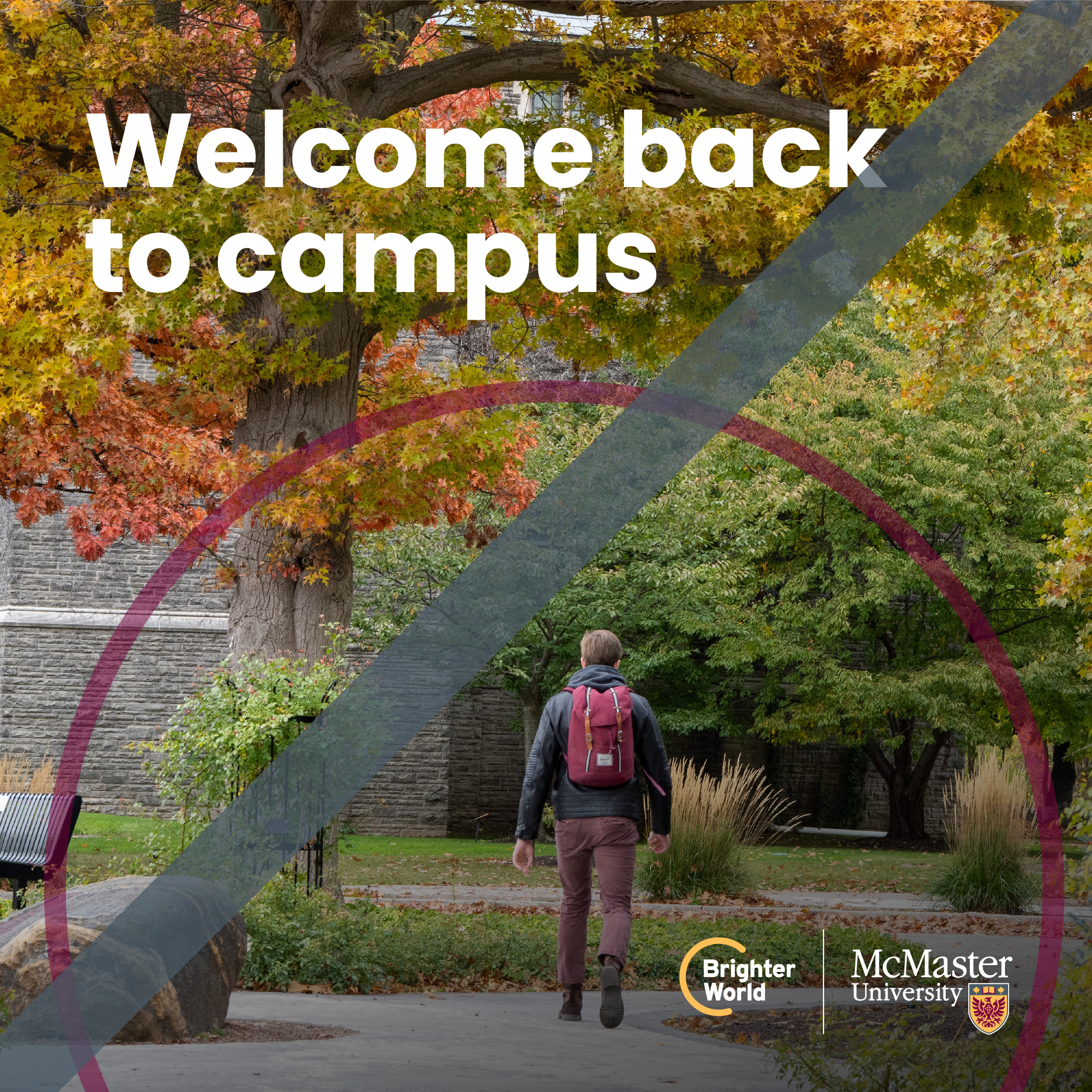 A graphic showing the incorrect use of the circle element. A student walks through campus at fall. A very thin transparent maroon circle is placed around him. The text reads "Welcome back to campus." The McMaster and Brighter World logos are placed in the bottom right hand corner. There is a grey line that intersects the image, indicating that the maroon circle is too thin.